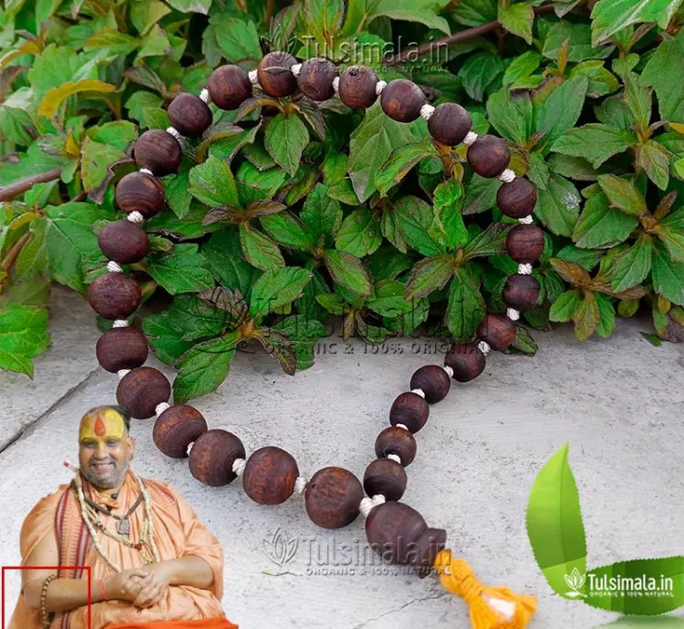 Shri Rajendra das ji Maharaj 27+1 Beads Tulsi Mala